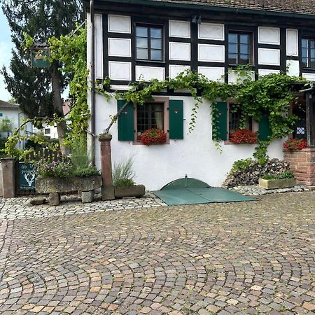 Exklusive Maisonette-Wohnung Am Rande Von Freiburg Merzhausen Zewnętrze zdjęcie